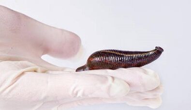 cremă de leech pentru a crește un membru