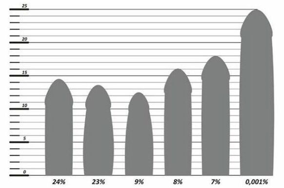 Statistica dimensiunii penisului
